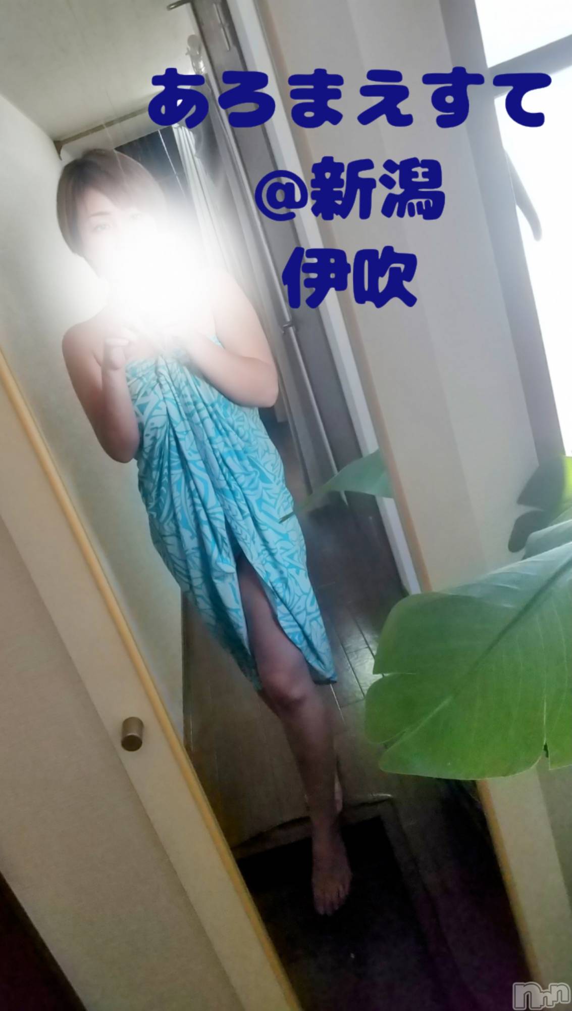 㡦ȯĥꥢ󥺥Ƥޤơ(ޥƥåȥ˥) 2024ǯ617ֺ̥֥⿿