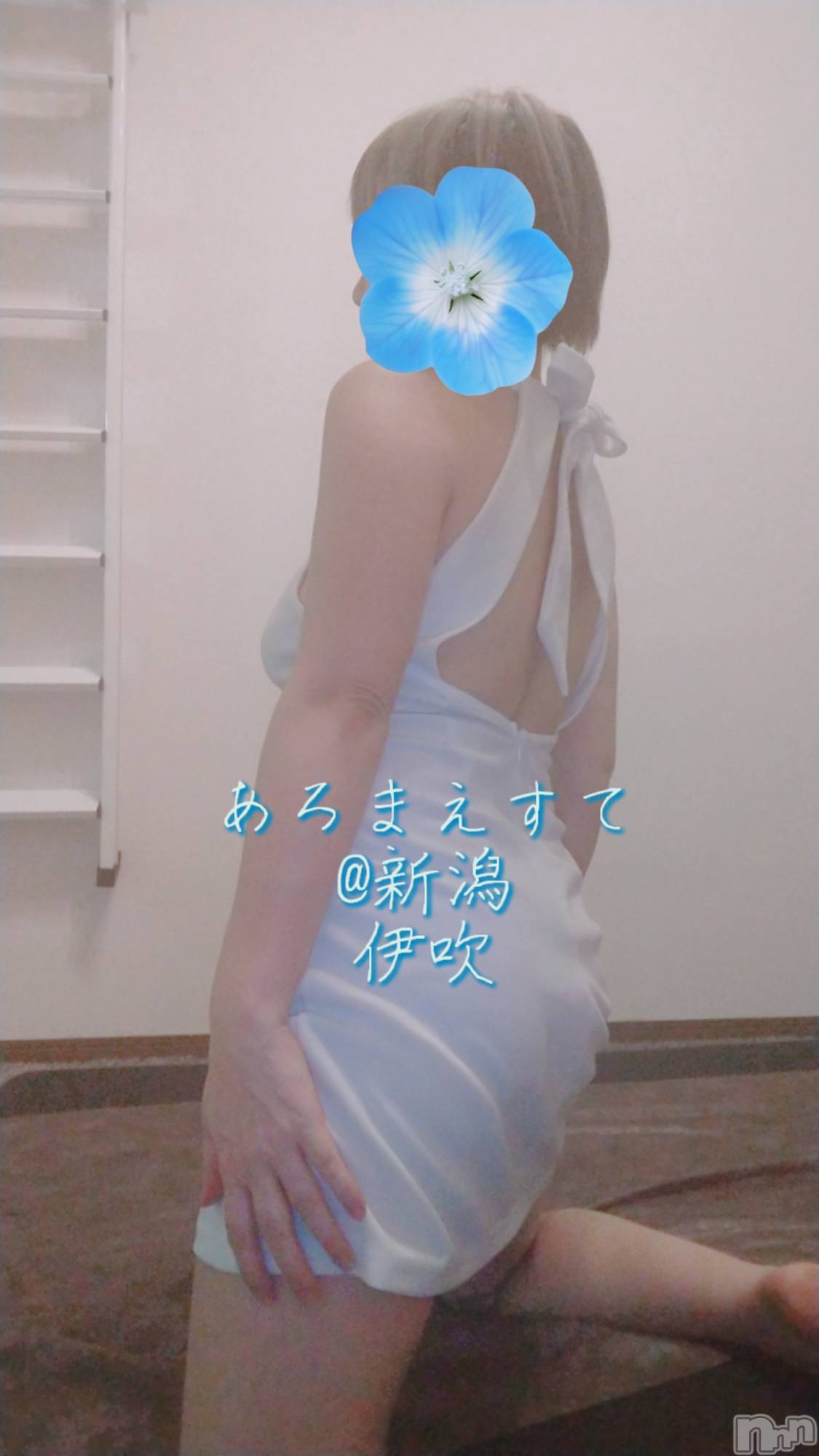 㡦ȯĥꥢ󥺥Ƥޤơ(ޥƥåȥ˥) 2024ǯ626̥֥֥äƤߤ❤