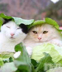 新潟メンズエステあろまえすて＠新潟(アロマエステアットニイガタ) 伊吹＊いぶき(42)の5月19日写メブログ「Mexicoから愛を込めて🇲🇽」