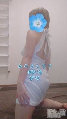 㡦ȯĥꥢ󥺥Ƥޤơ(ޥƥåȥ˥) ˿֤(42)626̥֥֥äƤߤ❤