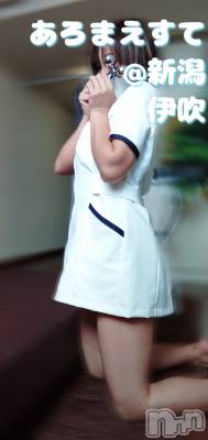 㡦ȯĥꥢ󥺥Ƥޤơ(ޥƥåȥ˥) ˿֤(42)1022̥֥֤֤40ѡ