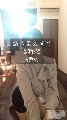 㡦ȯĥꥢ󥺥Ƥޤơ(ޥƥåȥ˥) ˿֤(42)118̥֥֤ä꤯⸝⸝⸝🙈💕