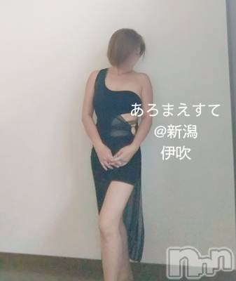㡦ȯĥꥢ󥺥Ƥޤơ(ޥƥåȥ˥) ˿֤(42)1223̥֥轵ġ