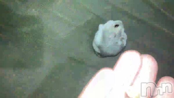 新潟メンズエステあろまえすて＠新潟(アロマエステアットニイガタ) 伊吹＊いぶき(42)の2月20日動画「」