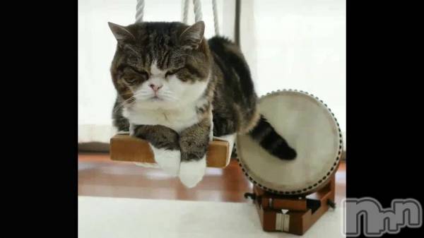 新潟メンズエステあろまえすて＠新潟(アロマエステアットニイガタ) 伊吹＊いぶき(42)の1月13日動画「」