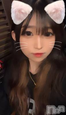 ʥå륺СALFRED(եå) Aya718̥֥֡ڹΡۥ٥ȡ❣️❣️