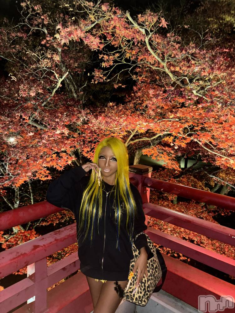 ȯĥХ顦La.DOUBLE(֥)    1118̥֥֤Ӥä