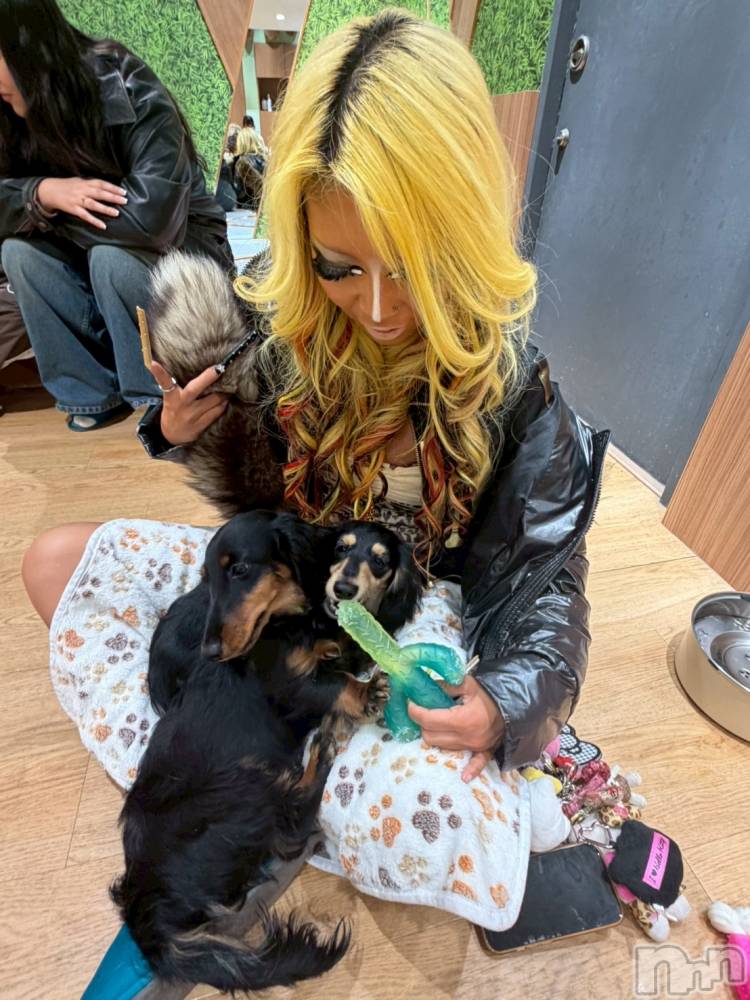 ��ȯ�ĥ���Х��顦�����double(���֥�) �� ����� �� ����1��19���̥�֥����ֽ��Ƥ���😳��