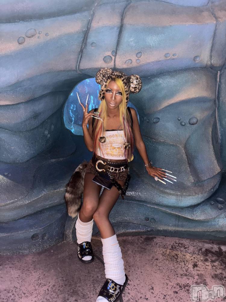 ��ȯ�ĥ���Х��顦�����double(���֥�) �� ����� �� ����2��12���̥�֥����֥�������ʤ��Ǥ����á�