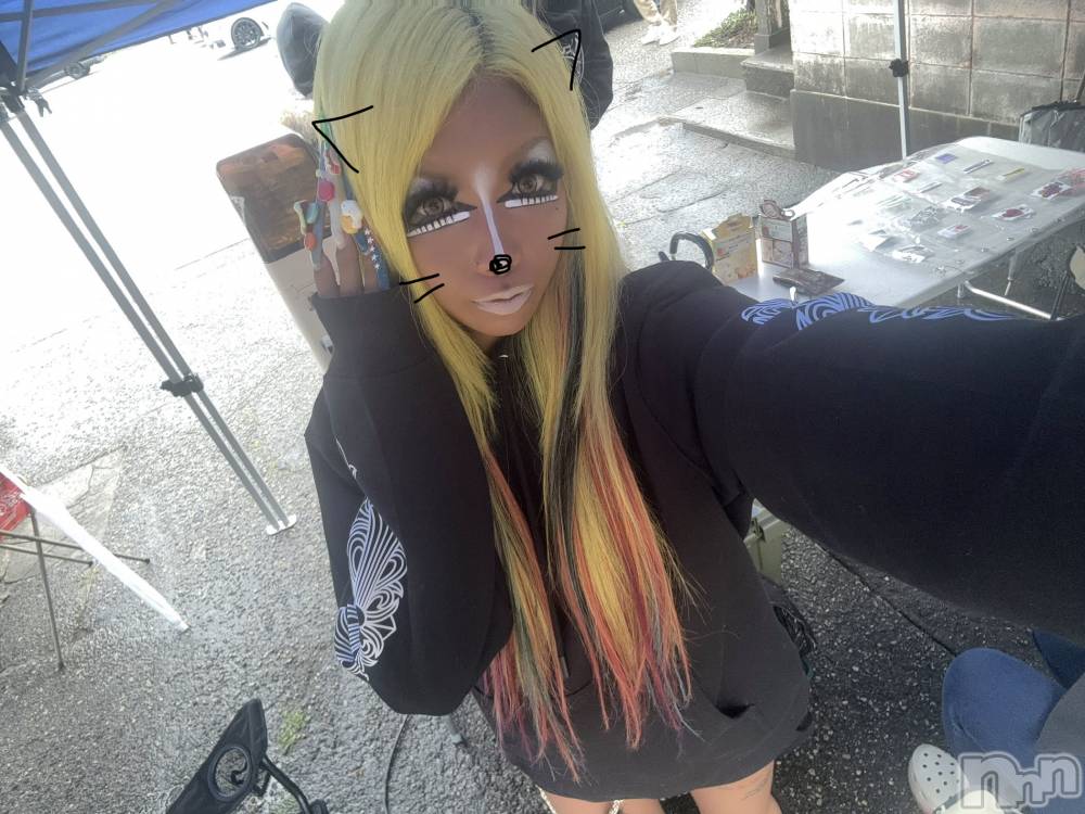 ��ȯ�ĥ���Х��顦�����double(���֥�) �� ����� �� ����3��15���̥�֥����֤��ह���������