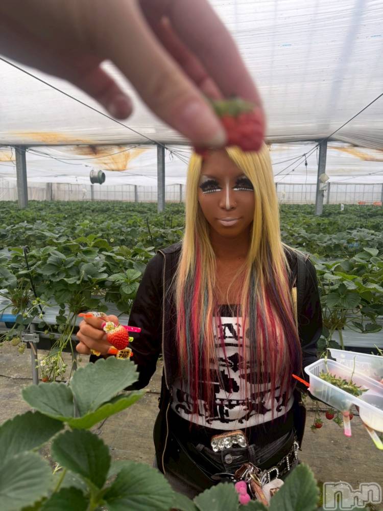 ��ȯ�ĥ���Х��顦�����double(���֥�) �� ����� �� ����4��7���̥�֥����ֲ����Ƥ뤫�狼�롩w🍓��