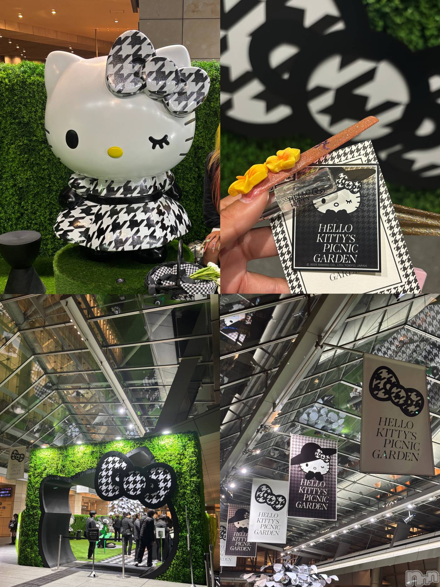 ȯĥХ顦La.DOUBLE(֥) 2025ǯ113̥֥5֤