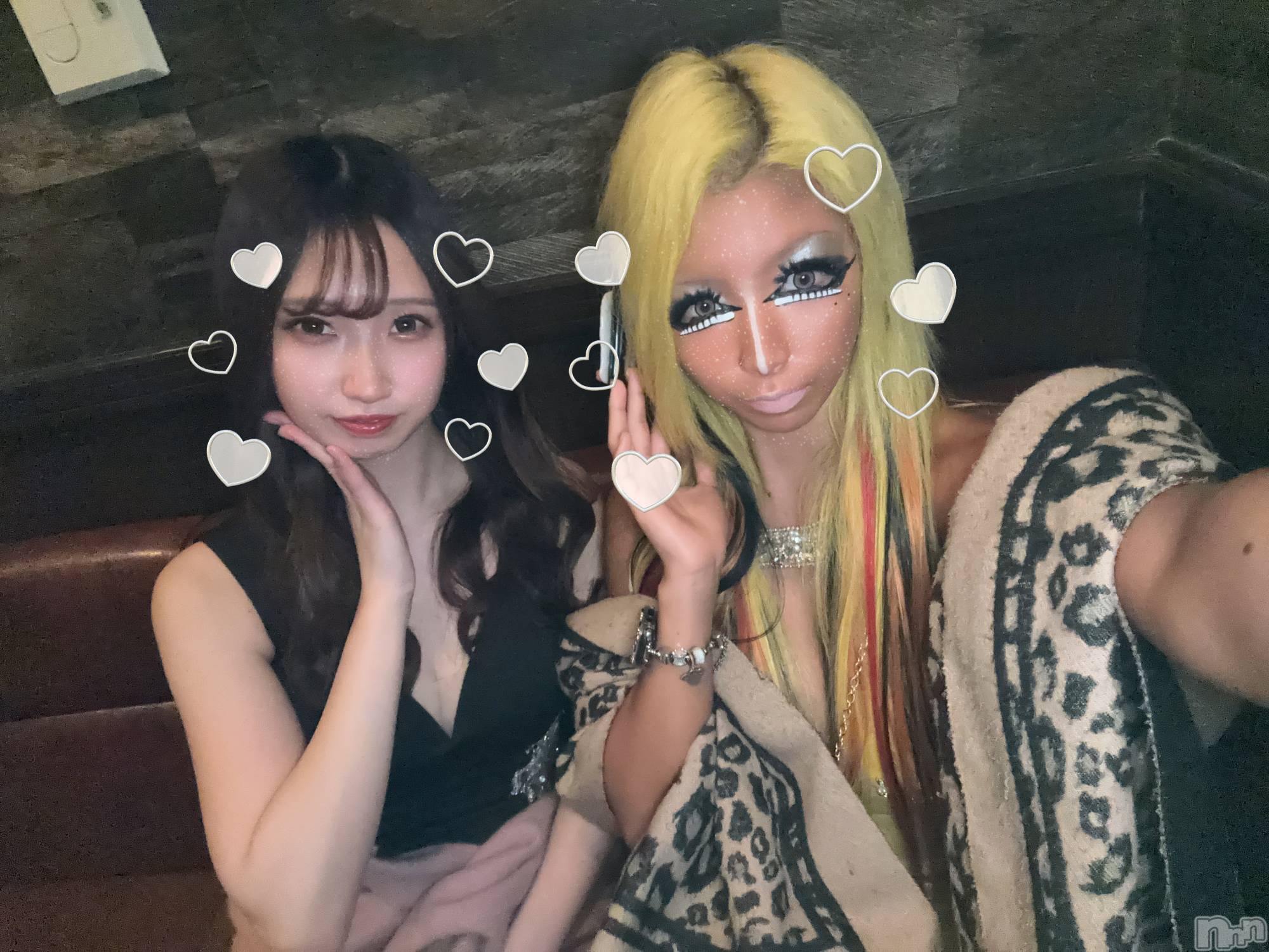 ��ȯ�ĥ���Х��顦�����double(���֥�) ��2026ǯ1��5���̥�֥����֤Ҥ��Ӥ���Ĺ���ä�🐈‍⬛��