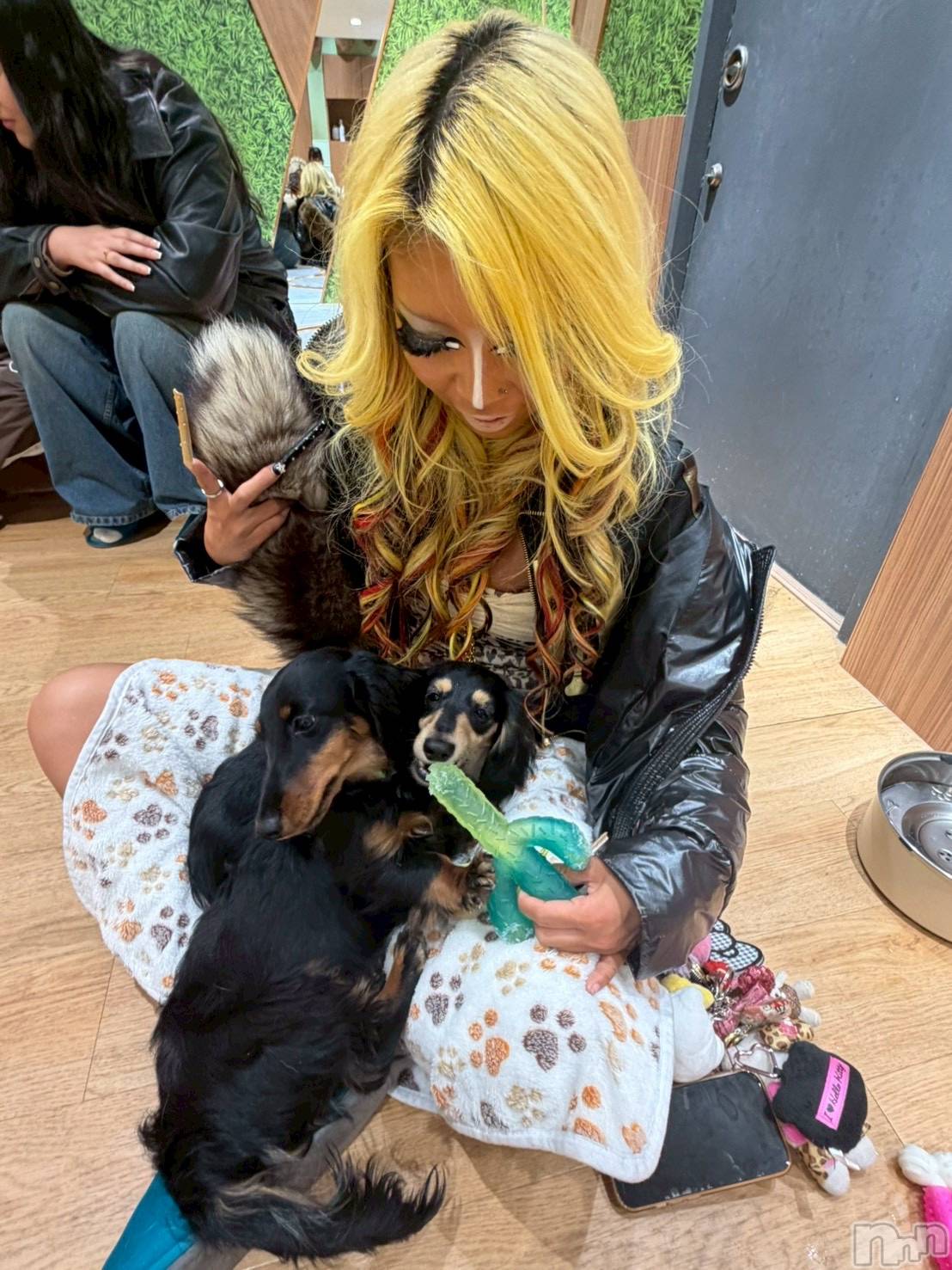 ��ȯ�ĥ���Х��顦�����double(���֥�) ��2026ǯ1��19���̥�֥����ֽ��Ƥ���😳��