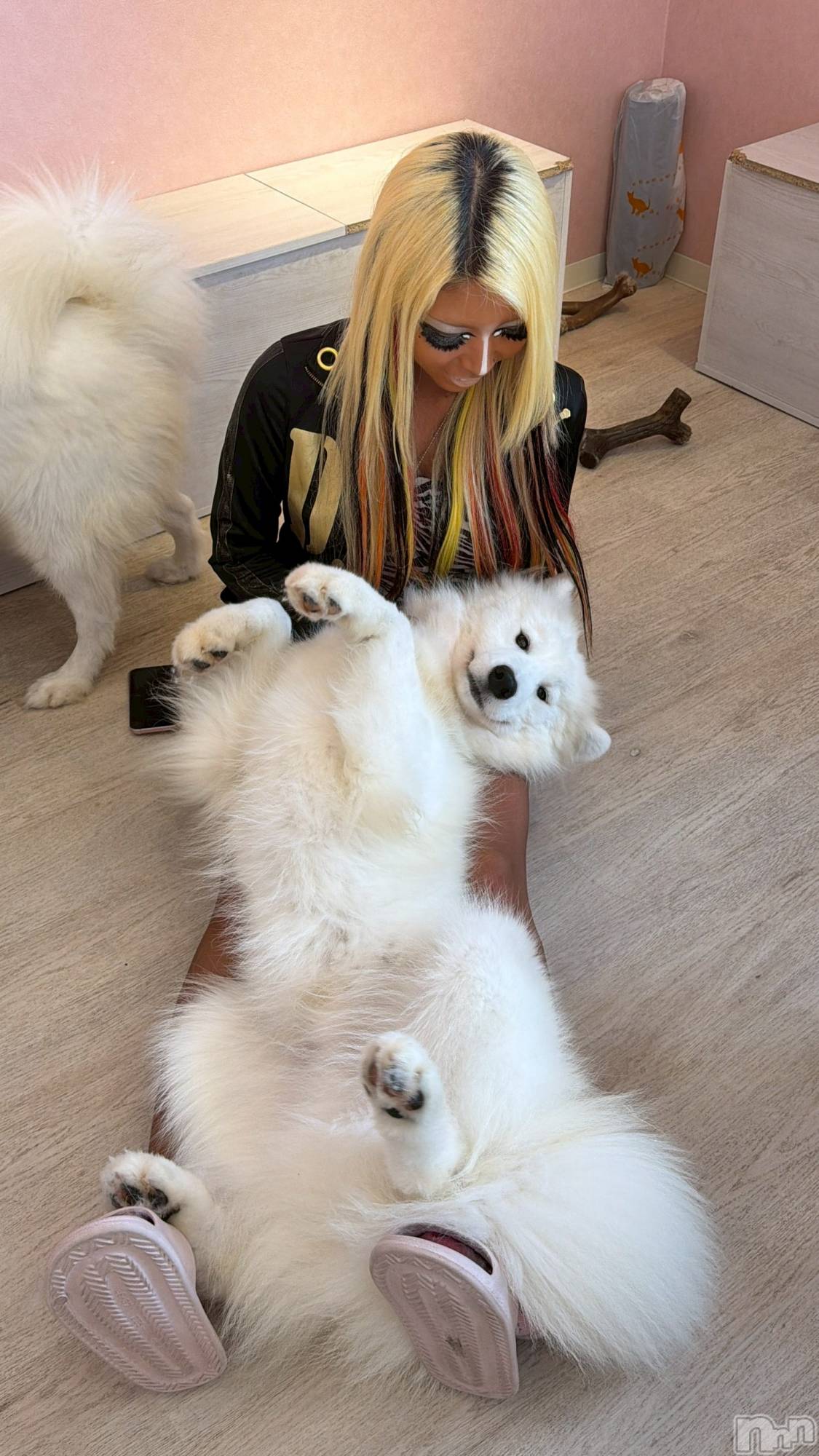 ��ȯ�ĥ���Х��顦�����double(���֥�) ��2026ǯ2��6���̥�֥����ְƤ�������🤲🏿��