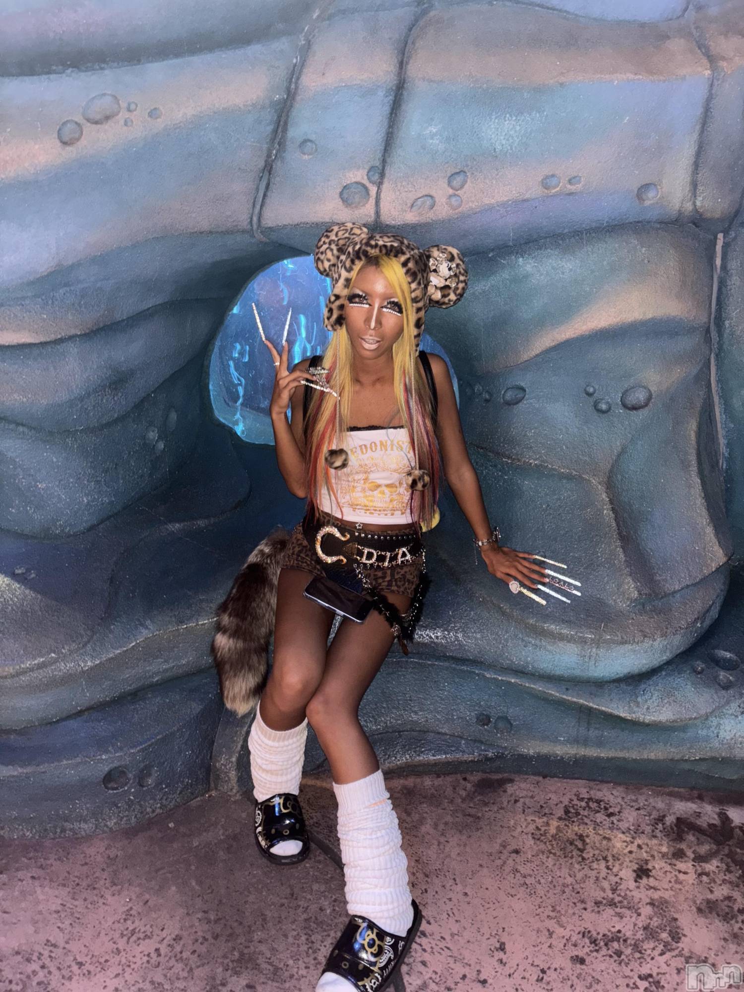 ��ȯ�ĥ���Х��顦�����double(���֥�) ��2026ǯ2��12���̥�֥����֥�������ʤ��Ǥ����á�