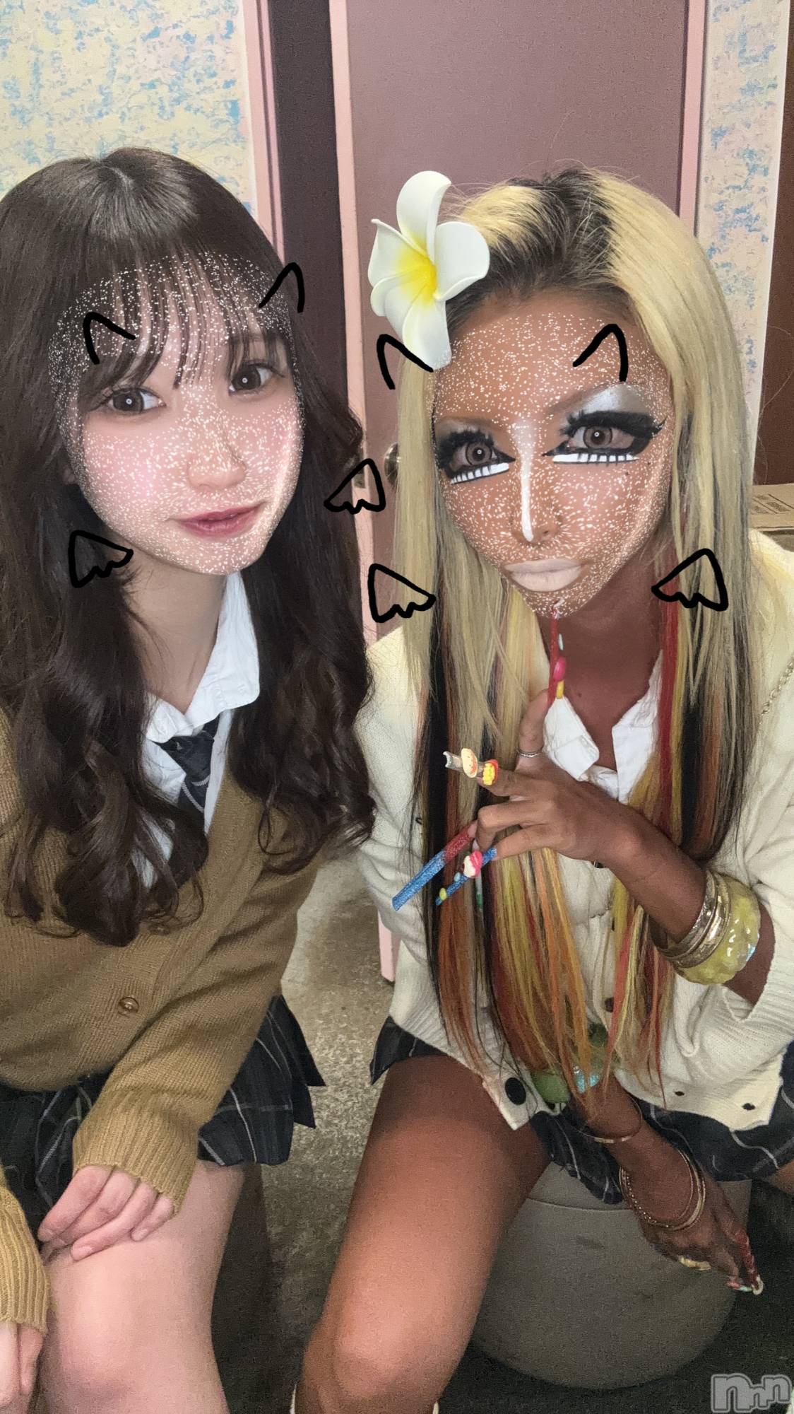 ��ȯ�ĥ���Х��顦�����double(���֥�) ��2026ǯ2��13���̥�֥�����ǯ1����󥹡�