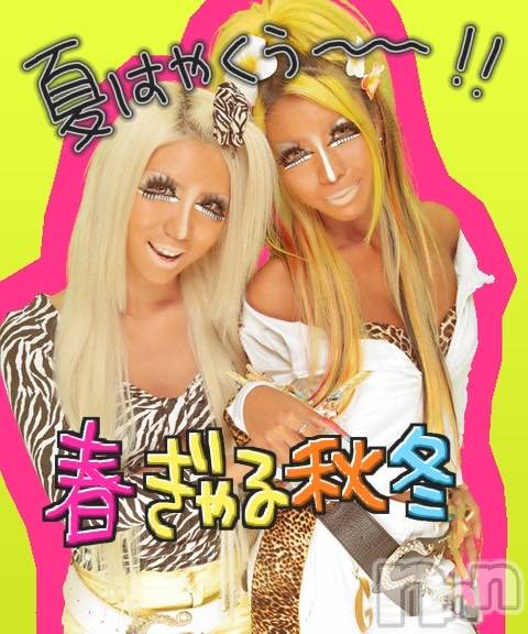 ��ȯ�ĥ���Х��顦�����double(���֥�) ��2026ǯ2��24���̥�֥����֤ۤ��лҡ�