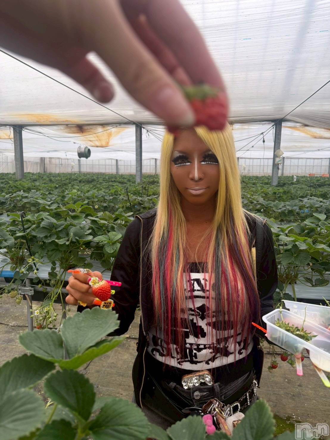 ��ȯ�ĥ���Х��顦�����double(���֥�) ��2026ǯ4��7���̥�֥����ֲ����Ƥ뤫�狼�롩w🍓��