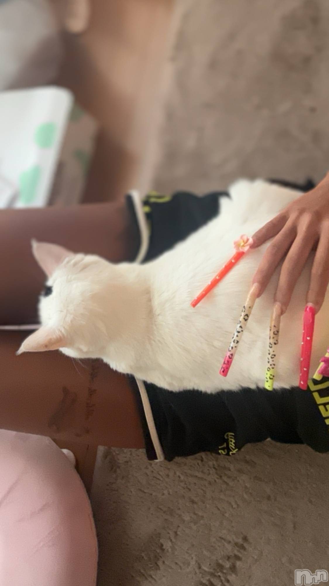 ��ȯ�ĥ���Х��顦�����double(���֥�) ��2026ǯ4��27���̥�֥����ֺ����ⴰλ😌��