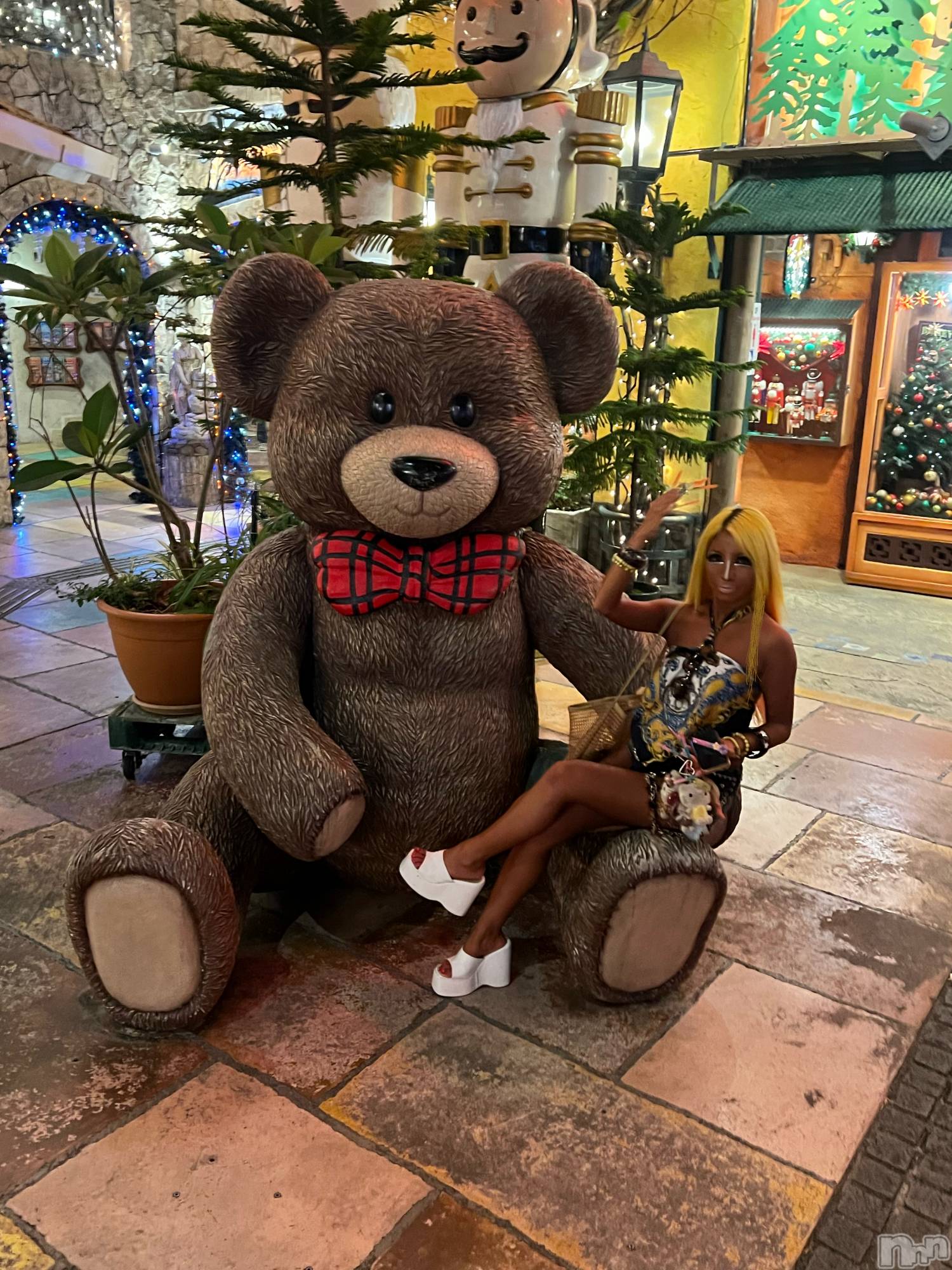 ��ȯ�ĥ���Х��顦�����double(���֥�) ��2026ǯ6��19���̥�֥����֤ۤܤ���ʤ�🐻��