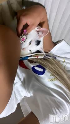 ȯĥХ顦La.DOUBLE(֥)    529̥֥֥ꥻ😗
