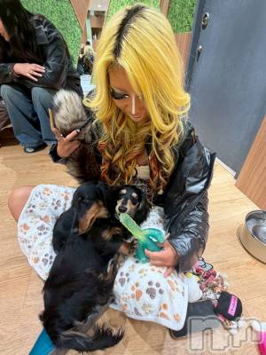 ��ȯ�ĥ���Х��顦�����double(���֥�) �� ����� �� ����1��19���̥�֥����ֽ��Ƥ���😳��