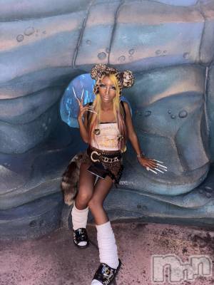 ��ȯ�ĥ���Х��顦�����double(���֥�) �� ����� �� ����2��12���̥�֥����֥�������ʤ��Ǥ����á�