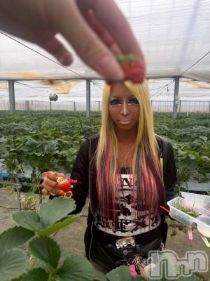 ��ȯ�ĥ���Х��顦�����double(���֥�) �� ����� �� ����4��7���̥�֥����ֲ����Ƥ뤫�狼�롩w🍓��