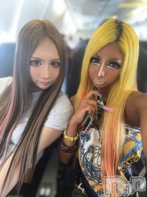 ��ȯ�ĥ���Х��顦�����double(���֥�) �� ����� �� ����6��8���̥�֥����ֹԤäƤ��ޤԡ�