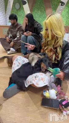 �����Ƥޤ�