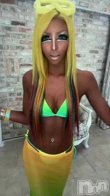 3��15�� 04��25ʬ��ư��