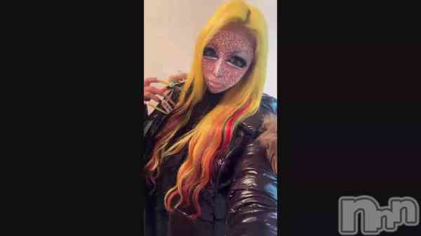 �֤��ְ㤨�ʤ���(��◔ .̮◔)��