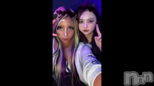    1212 2024ʬΥ֥