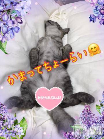 新潟人妻デリヘル熟女の風俗 最終章(ジュクジョノフウゾクサイシュウショウ)れお(45)の2023年9月5日写メブログ「まだまだ～❣️」