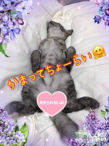 新潟人妻デリヘル熟女の風俗 最終章(ジュクジョノフウゾクサイシュウショウ)れお(45)の2023年10月20日写メブログ「いまーす＼(^o^)／」