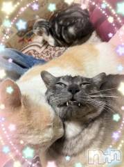 新潟デリヘル熟女の風俗 最終章(ジュクジョノフウゾクサイシュウショウ) れお(45)の5月12日写メブログ「名前の…😊」