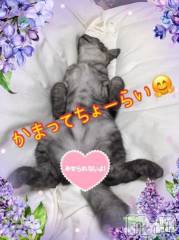 新潟デリヘル熟女の風俗 最終章(ジュクジョノフウゾクサイシュウショウ) れお(45)の10月20日写メブログ「いまーす＼(^o^)／」