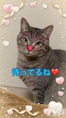 新潟デリヘル熟女の風俗 最終章(ジュクジョノフウゾクサイシュウショウ) れお(45)の11月9日写メブログ「空きました🤗」