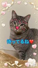 新潟人妻デリヘル熟女の風俗 最終章(ジュクジョノフウゾクサイシュウショウ) れお(45)の11月20日写メブログ「遊んでください🥺」