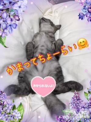 新潟人妻デリヘル 熟女の風俗 最終章(ジュクジョノフウゾクサイシュウショウ) れお(45)の10月20日写メブログ「いまーす＼(^o^)／」