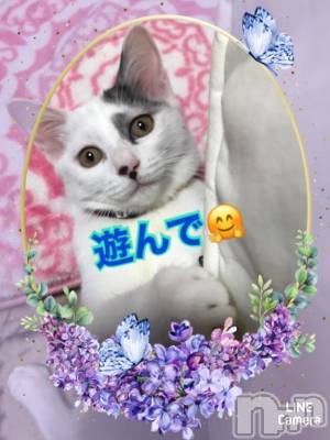 新潟人妻デリヘル 熟女の風俗 最終章(ジュクジョノフウゾクサイシュウショウ) れお(45)の12月3日写メブログ「出勤丸～💪」