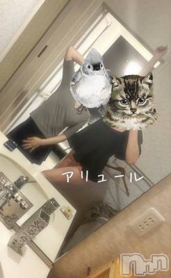 㡦ȯĥꥢ󥺥allure(塼) ǡ(19)613̥֥褿🐢♥