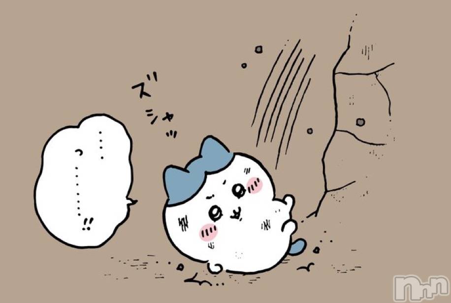 ��ˬ����Х��顦�����CLUB Red(����� ��å�) �ʥʤ�7��6���̥�֥�����🐶🐱🐭🐰🐯🐻🦊🦁🐮🐷��