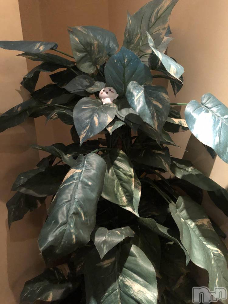 ��ˬ����Х��顦�����CLUB Red(����� ��å�) �ʥʤ�9��1���̥�֥�����🌳🌳🌳��