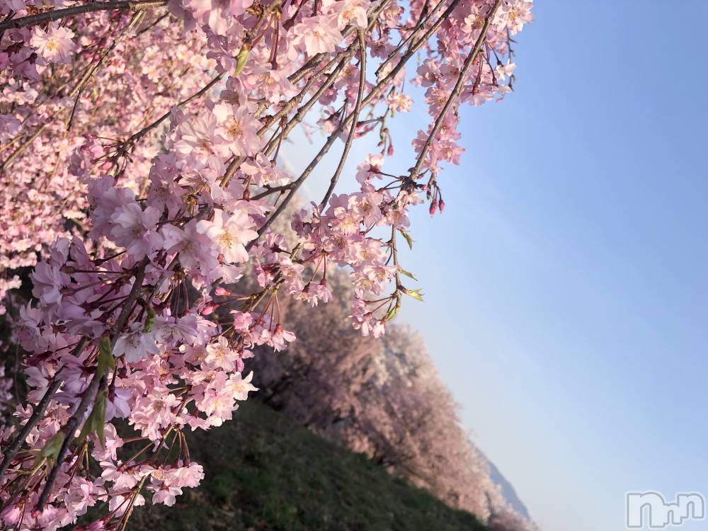 ��ˬ����Х��顦�����CLUB Red(����� ��å�) �ʥʤ�4��16���̥�֥�����🌸🍃��