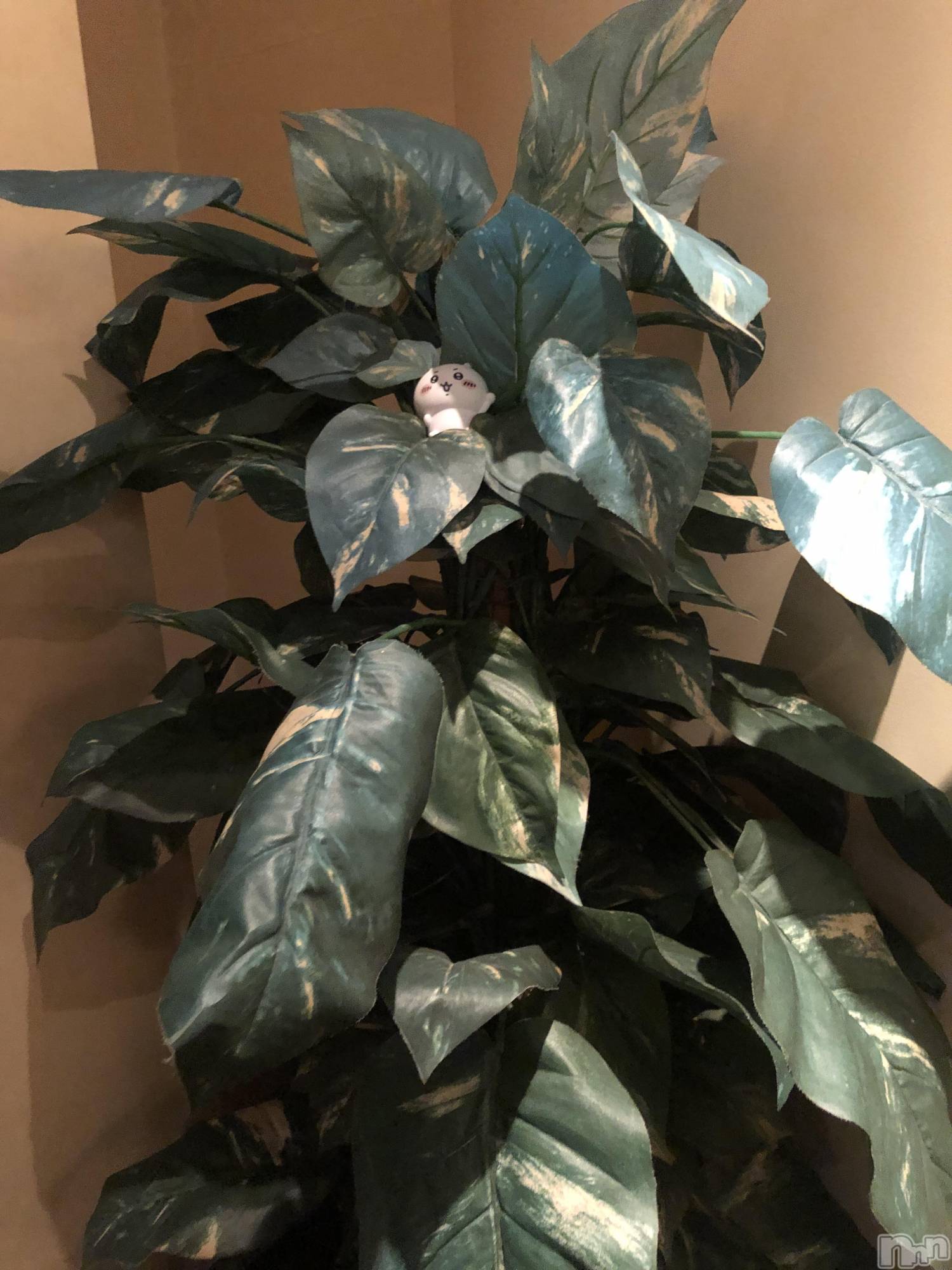 ��ˬ����Х��顦�����CLUB Red(����� ��å�) ��2023ǯ9��1���̥�֥�����🌳🌳🌳��