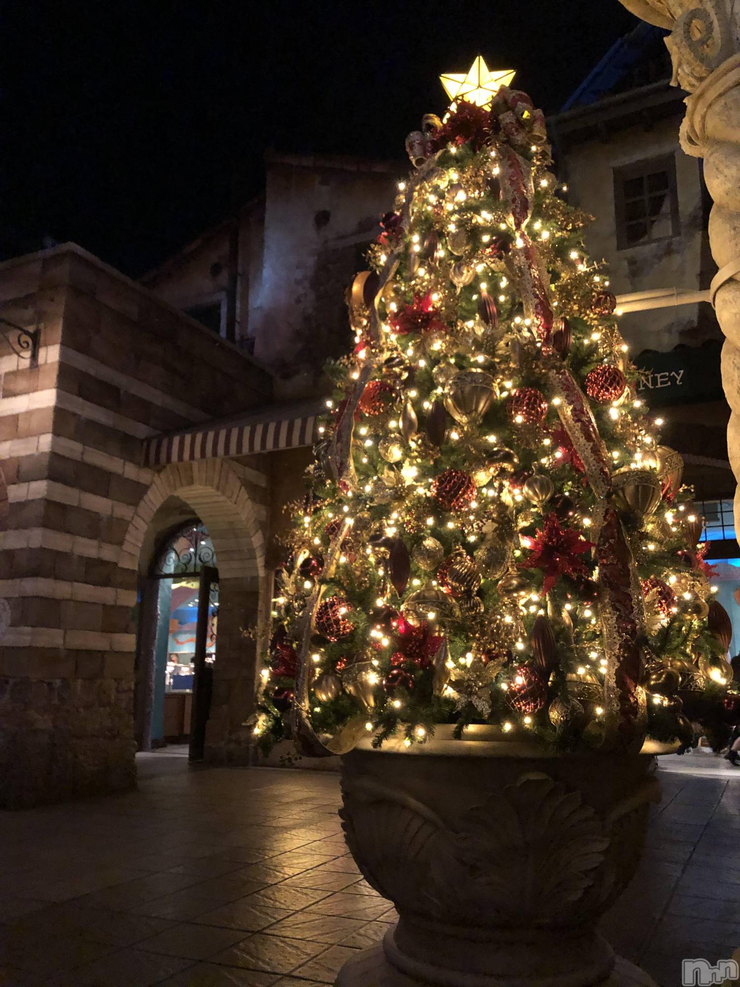 ��ˬ����Х��顦�����CLUB Red(����� ��å�) ��2023ǯ12��1���̥�֥�����12������- ̗̀ 💚🎄��