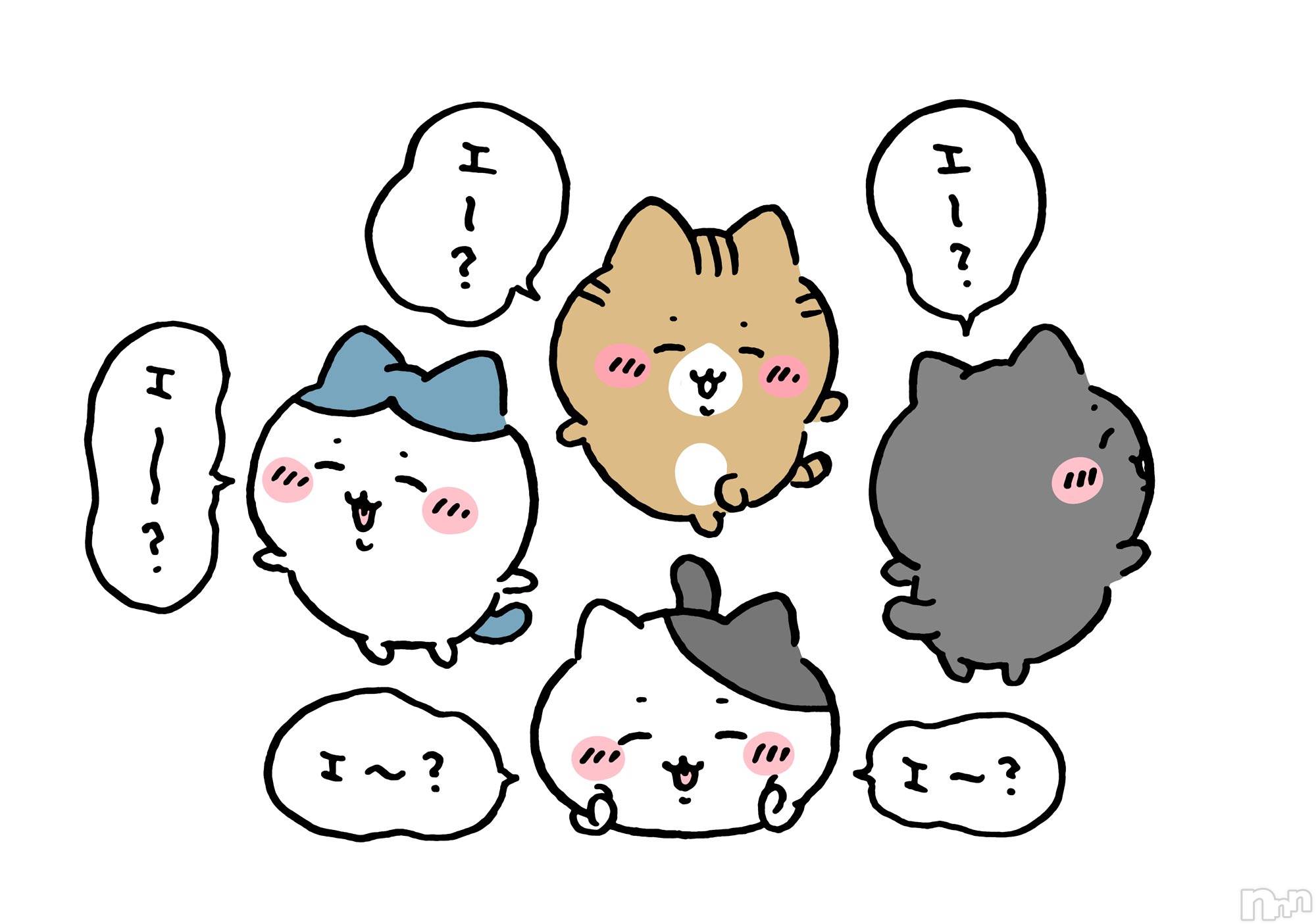 ��ˬ����Х��顦�����CLUB Red(����� ��å�) ��2024ǯ2��22���̥�֥�����🐈🐾��