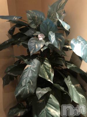 ��ˬ����Х��顦�����CLUB Red(����� ��å�) �ʥ�(18)��9��1���̥�֥�����🌳🌳🌳��